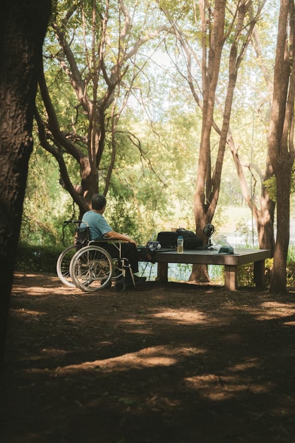 Electric Wheelchairs